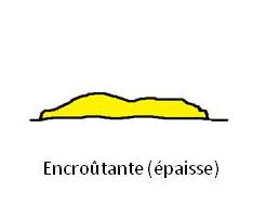 Encroutante épaisse