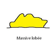 Massive lobée