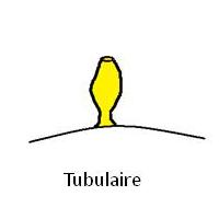 Tubulaire